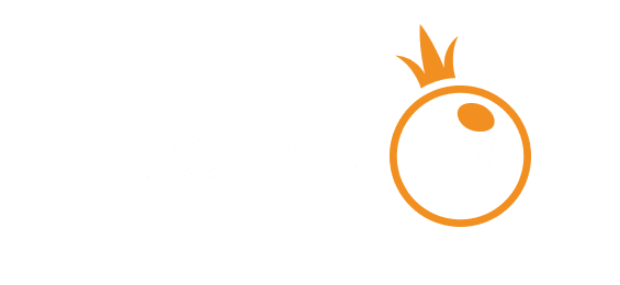 پاک نیٹ logo